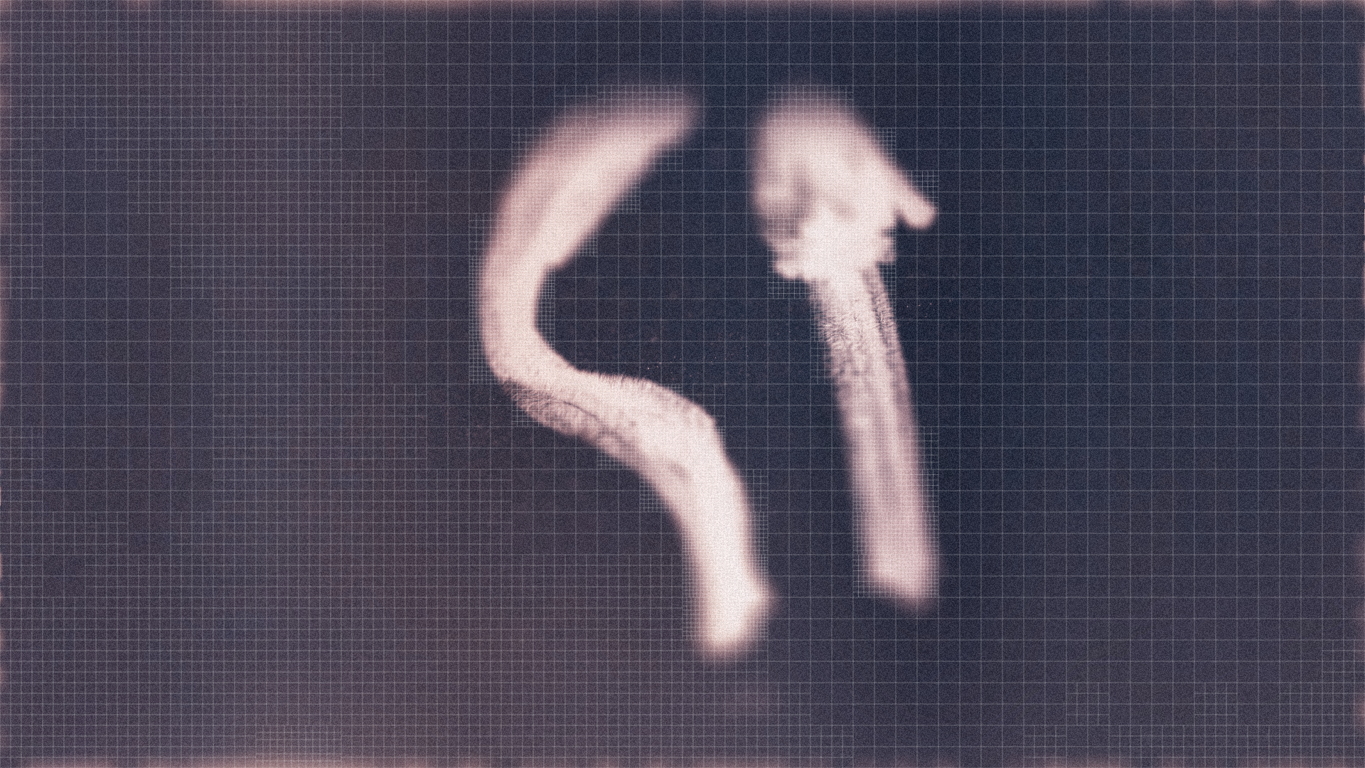Chiper_symbol_05_data__00014