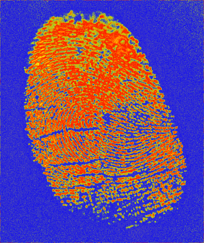 fingerprint_04_HEATMAP_v02_00000