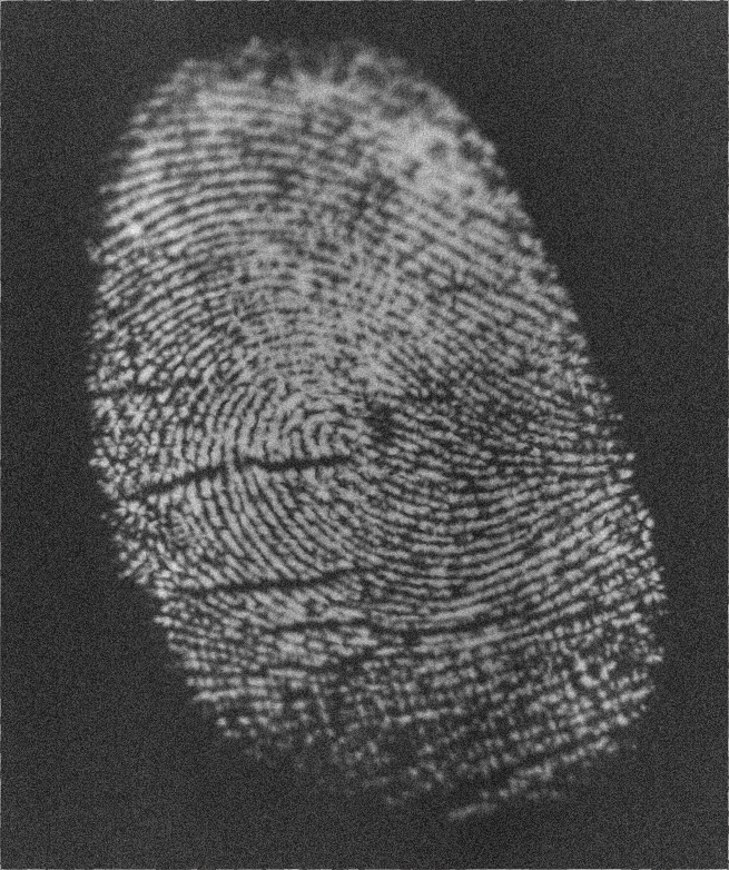 fingerprint_04_NEGATIVE_00000