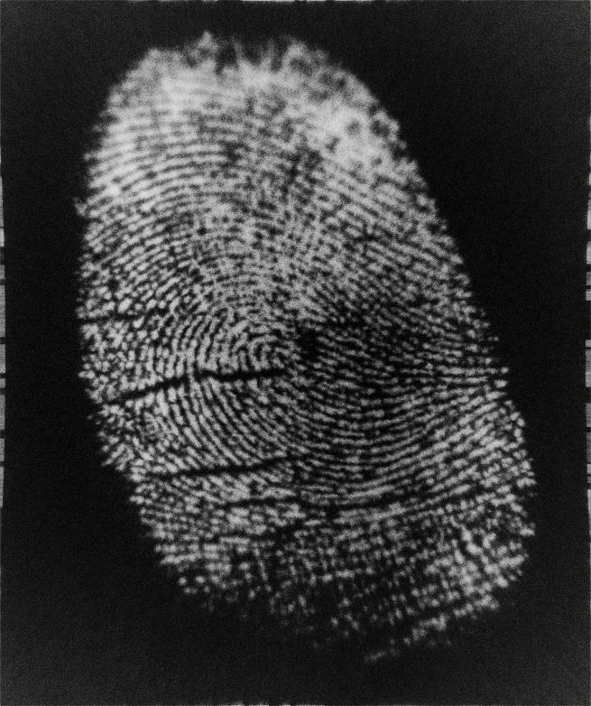 fingerprint_08_00000
